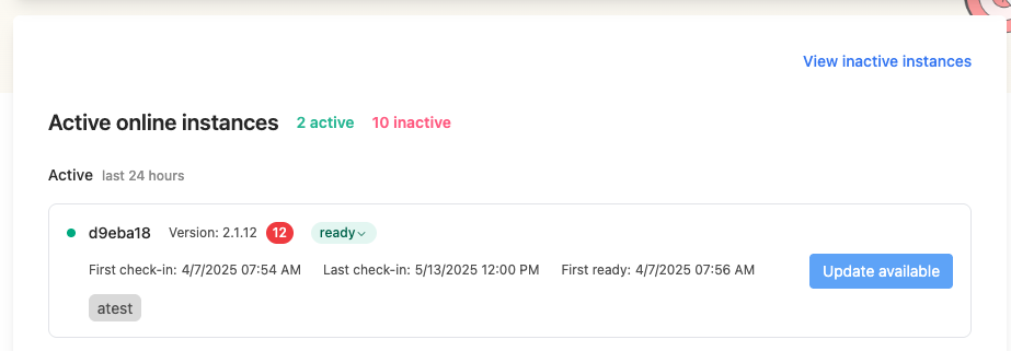 enterprise portal instance details